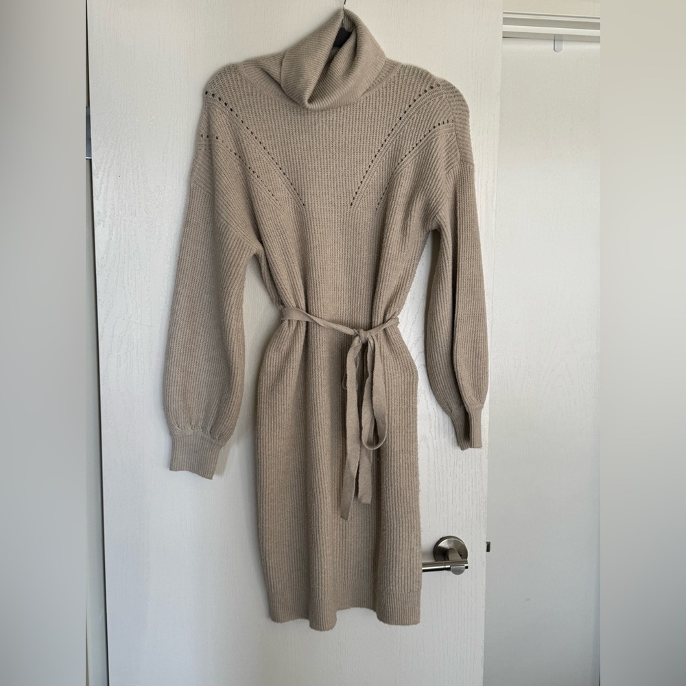 Soft Turtleneck Sweater Dress